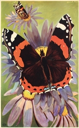 Butterfly (London Transport) by Derrick Sayer, 1952.