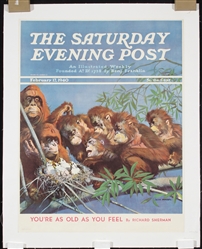 The Saturday Evening Post (Orangutans) by Julius Moessel, 1940