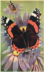 no text (Butterflies) by Derrick Sayer, 1952