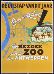 Zoo - Antwerpen (Camels) by Rene van Poppel, 1948