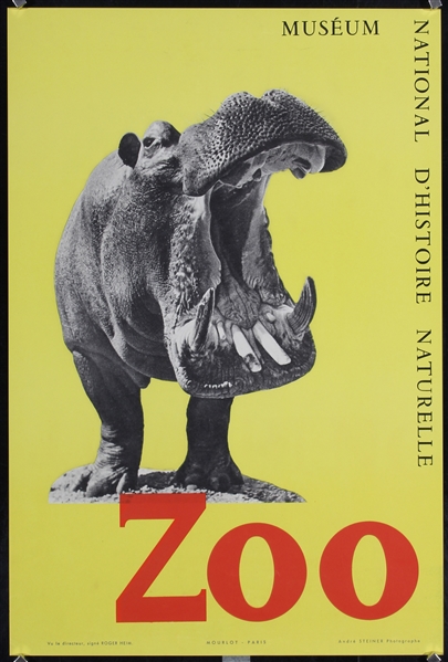 Zoo (Hippo) by Andre Steiner (Photo), ca. 1955