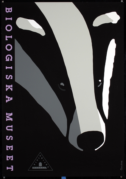 Biologiska Museet (Badger) by Carina Link, 1998